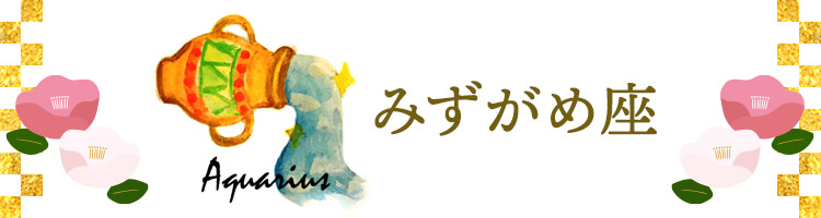 みずがめ座
