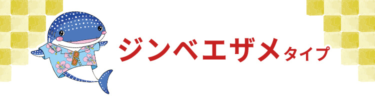 ジンベエザメタイプ
