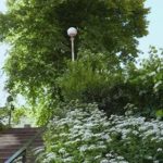 teateya-manngetu-20190419