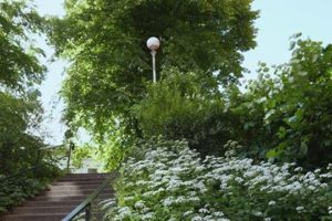 teateya-manngetu-20190419